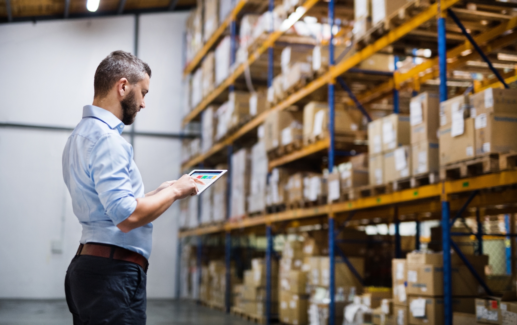 B2B Product Manager Surveying Stock in Distribution Warehouse