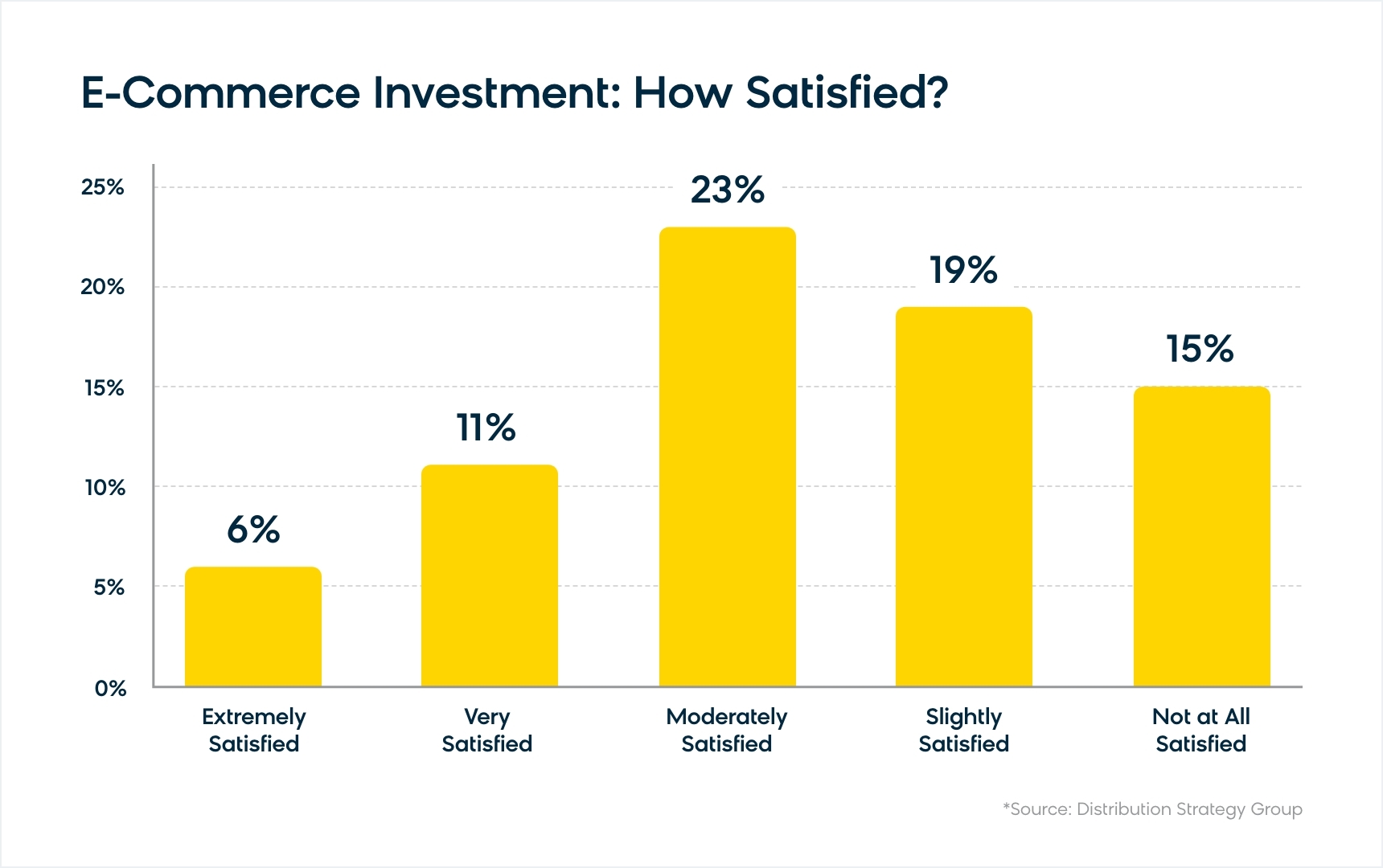 Survey of Satisfaction with Ecommerce Investment